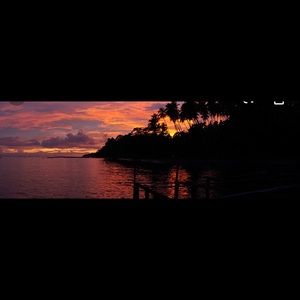 Meet your Posher, Gracie